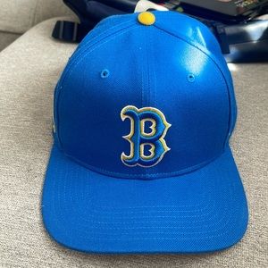Fenway park collection hat